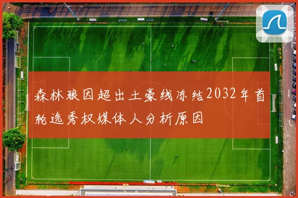 森林狼因超出土豪线冻结2032年首轮选秀权媒体人分析原因